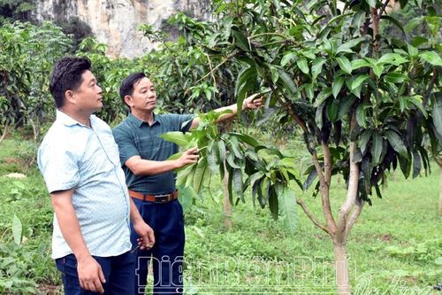 MTTQ tham gia xây dựng Đảng, chính quyền
