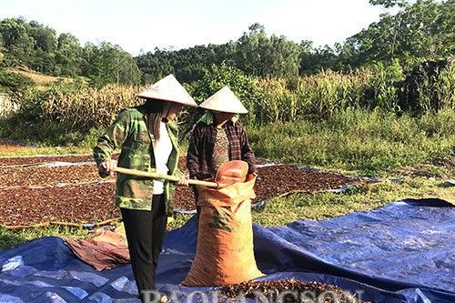 Văn Quan: Lại nóng tình trạng trộm hoa hôìTin khácSáng mãi ngọn lửa thanh niên xung phongGia đình nhiều thế hệ: Lưu giữ, phát huy các giá trị văn hóa truyền thống