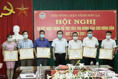 Chuẩn bị các phương án tiêu thụ nhãn, thanh long cho nông dân