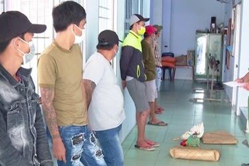 Tụ tập đá gà ăn thua bằng tiền trong ngày đầu thực hiện Chỉ thị 16