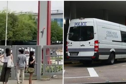 Vụ việc gây chấn động dư luận ở Singapore: Học sinh 13 tuổi bị tấn công bằng rìu ở trường