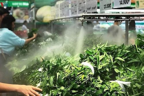 TP Hồ Chí Minh: Giá rau xanh 'hạ nhiệt', trứng vẫn khan hiếm