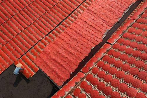 Việt Nam đạt 2 bằng Danh dự quốc gia tại Cuộc thi ảnh thường niên FIAP 2021