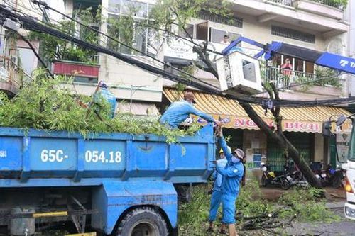 Cây đổ, bảng hiệu bị 'quật ngã' trong trận mưa to gió giật