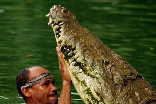 Ngư dân kết tình tri kỷ với cá sấu hơn 20 năm khiến vợ không chịu nổi phải bỏ đi