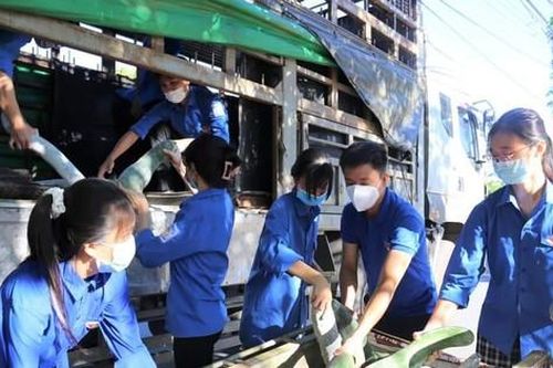 Biệt đội áo xanh chuyển hàng tấn rau củ quả gửi miền Nam yêu thương