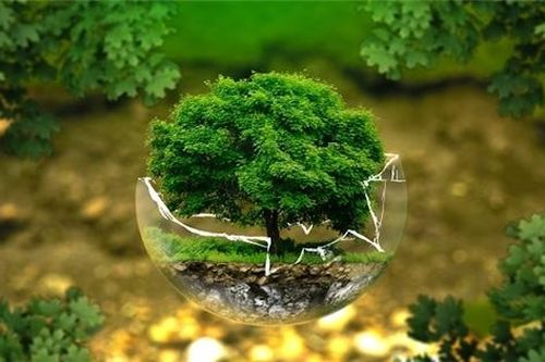 Startup tại ASEAN hướng tới tương lai bền vững