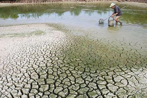 Áp chỉ tiêu ESG cho doanh nghiệp toàn cầu: Ủng hộ và phản đối