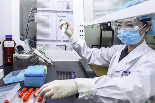 Xây dựng Đề án lập Viện Vaccine quốc gia