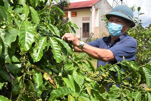 Những thương binh vượt khó làm giàu