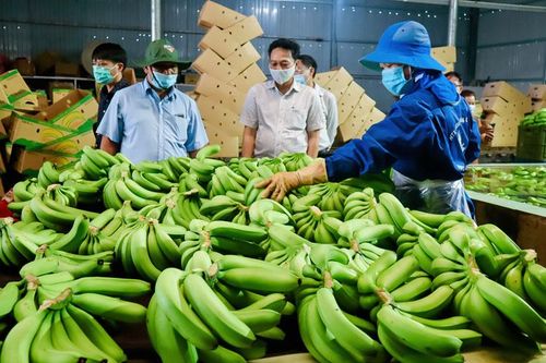 Đam Rông: 15 năm đổi thay từ nông nghiệp