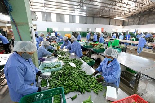 Nghị quyết 68 của Chính phủ, một quyết sách kịp thời, hợp lòng dân
