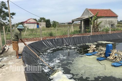 Tín dụng chính sách phát huy hiệu quả tại huyện miền biển Kim Sơn