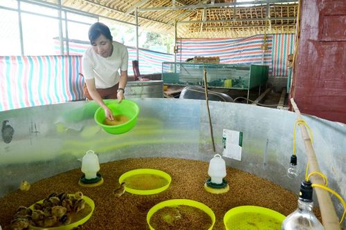Phụ nữ xã Năng Khả thực hiện hiệu quả cuộc vận động '5 không, 3 sạch''