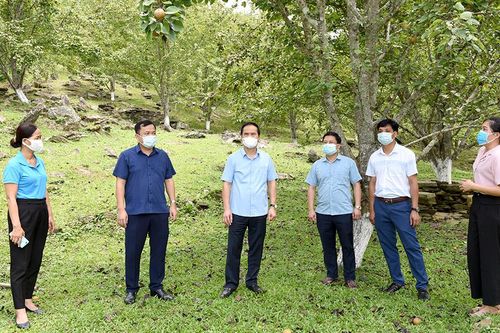 Phó Chủ tịch UBND tỉnh Hoàng Việt Phương kiểm tra công tác chuẩn bị năm học mới và phát triển du lịch cộng đồng tại Na Hang