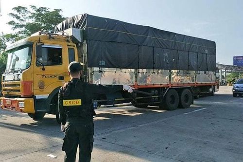 Cấp thẻ nhận diện phương tiện hoạt động trên 'luồng xanh' giảm ùn tắc tại 22 chốt kiểm dịch