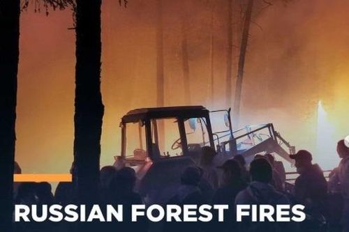 Cháy rừng ở Siberia do mùa hè khô hạn nhất trong vòng 150 năm