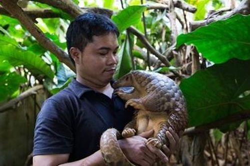 Chuyện về Thái 'tê tê'