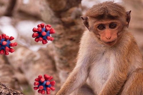 Nóng: Xuất hiện virus động vật khác khiến người tử vong