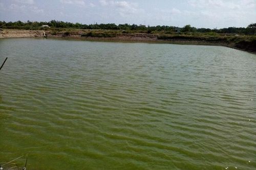 Yên Bái: Phát hiện thi thể một người phụ nữ dưới đầm nước