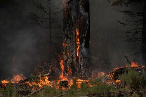 Mỹ, Canada điêu đứng vì 'giặc lửa'