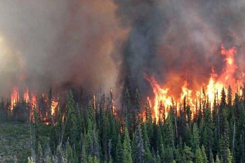 Canada: Tỉnh British Columbia ban bố tình trạng khẩn cấp vì cháy rừng