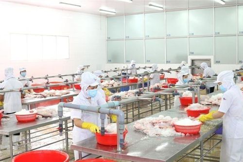 Nhiều lô nguyên liệu thủy sản nhập khẩu bị ách tắc vì giãn cách xã hội