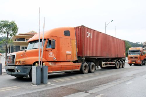 Lạng Sơn: Khởi tố vụ vận chuyển trái phép 6 tấn macca qua biên giới