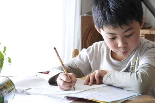 Bài văn tả cái cây của bé học sinh khiến dân tình cười ngất: 'Cây này thì có ai mà không thích?'