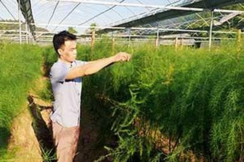 Xã Đình Lập: Thực hiện Chỉ thị 05 gắn với xây dựng nông thôn mơíTin khácSáng mãi ngọn lửa thanh niên xung phongGia đình nhiều thế hệ: Lưu giữ, phát huy các giá trị văn hóa truyền thống