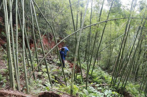 Bảo Yên: Hơn 200 hộ dân nằm trong vùng nguy cơ sạt lở đất, lũ quét