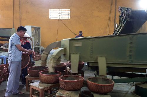 Lào Cai xuất khẩu trên 100.000 tấn nông, lâm sản
