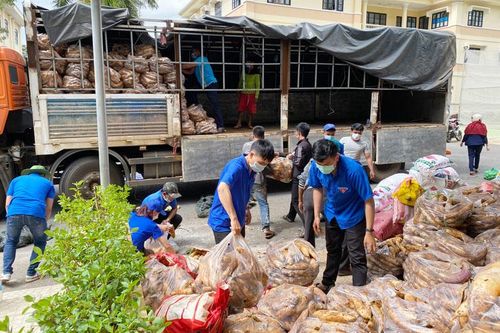 70 tấn nông sản đồng hành cùng Chương trình Thực phẩm miễn phí cùng cả nước chống dịch