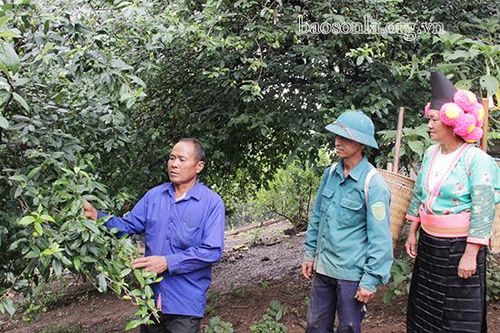 Những người 'giữ và truyền lửa' của bản mường