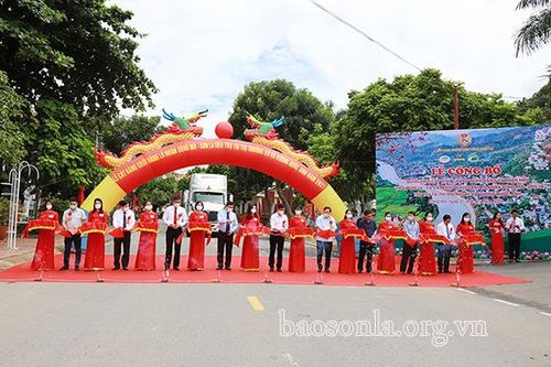 Lễ công bố Quyết định cấp Giấy chứng nhận đăng ký nhãn hiệu 'Nhãn Sơn La'