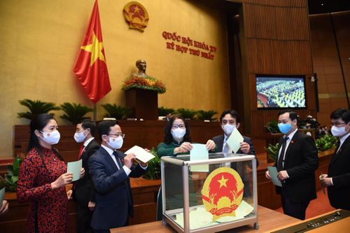 Hôm nay, Quốc hội bầu Tổng thư ký và các Chủ nhiệm Ủy ban của Quốc hội