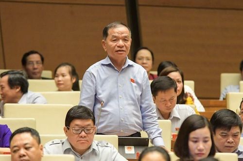 ĐBQH: Cán bộ nói 'bánh mì không phải thực phẩm' nhận thức ấu trĩ về chống dịch