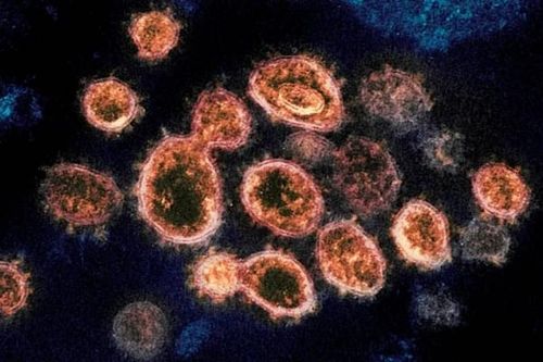 Các biến thể virus COVID-19 tiếp tục phát triển như thế nào?
