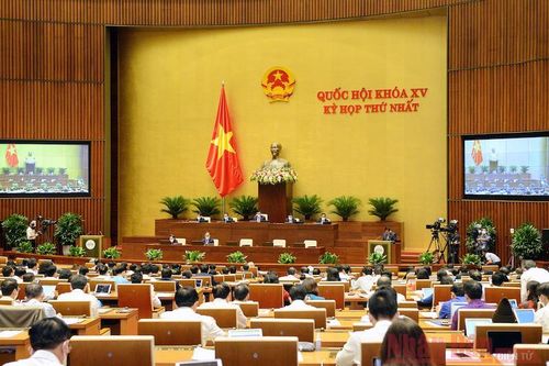 Một số ý kiến của cử tri gửi đến Kỳ họp thứ nhất, Quốc hội khóa XV