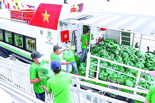Cung ứng hàng hóa mùa dịch tại TP.HCM: Bài học về kịch bản và kho dự trữ thực phẩm!