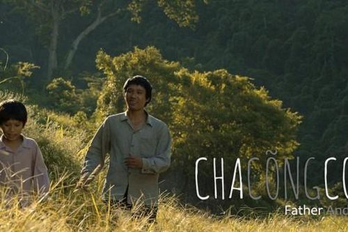 Quanh chuyện siết phim thi quốc tế 'chui'