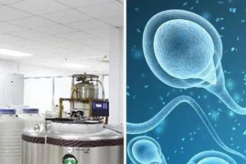Thành phố Trung Quốc tổ chức cuộc thi tinh trùng cho các sinh viên đại học