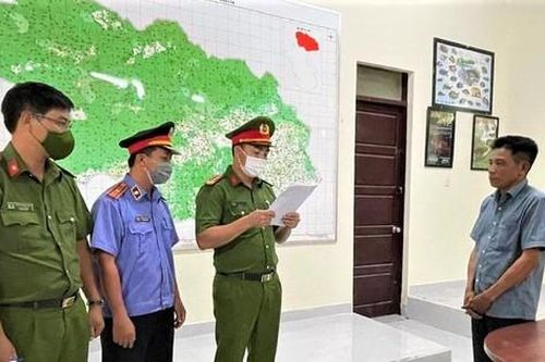Khởi tố Trạm trưởng kiểm lâm nhận hối lộ, làm ngơ cho lâm tặc