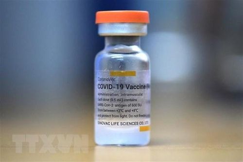 Dịch COVID-19: Indonesia tiếp nhận thêm 8 triệu liều vaccine Sinovac
