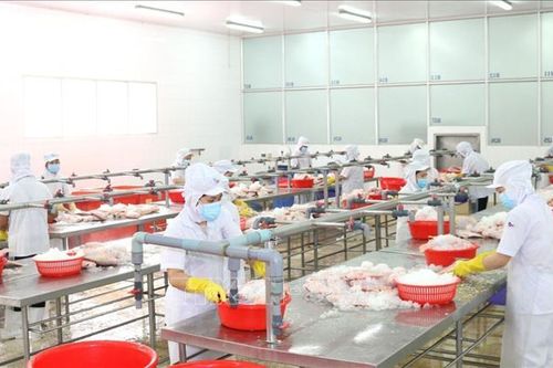 Bảo vệ, mở rộng 'vùng xanh' trong sản xuất