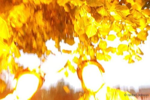 Bị sét đánh trúng khi chụp ảnh selfie, ba chị em có bức ảnh để đời
