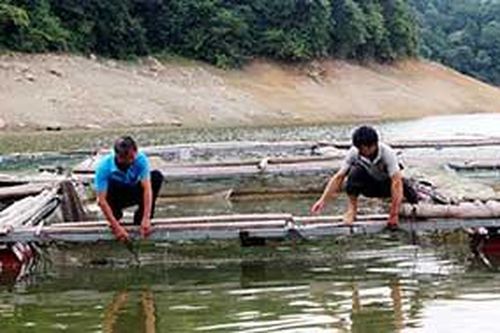 Hộ nuôi cá lồng: Chủ động trước mùa mưa lũTin khácSáng mãi ngọn lửa thanh niên xung phongGia đình nhiều thế hệ: Lưu giữ, phát huy các giá trị văn hóa truyền thống