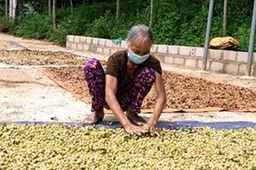 Mắc mật Bình Gia: Được mùa, mất giáTin khácSáng mãi ngọn lửa thanh niên xung phongGia đình nhiều thế hệ: Lưu giữ, phát huy các giá trị văn hóa truyền thống