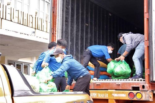 Đội phản ứng nhanh phòng, chống dịch