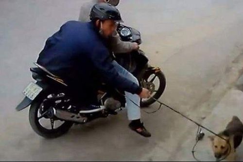 Trộm chó xịt hơi cay tấn công người truy đuổi